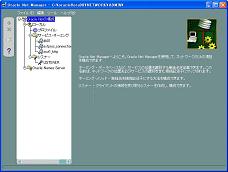OracleNetManager起動時の画面